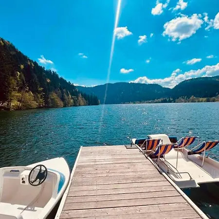 Lejlighed Charming With View Of The Massif ! Gérardmer
