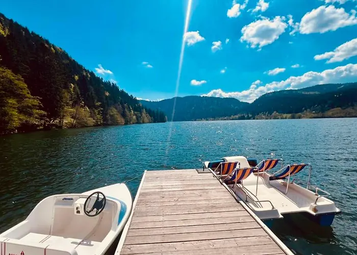 Apartmán Charming With View Of The Massif ! Gérardmer